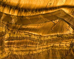 Tiger's Eye May Birthstone
