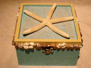 Sea Star & Sand Box